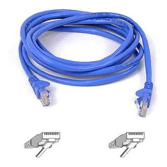 Belkin International INC A3L791-75-BLU-S Belkin Patch Cord