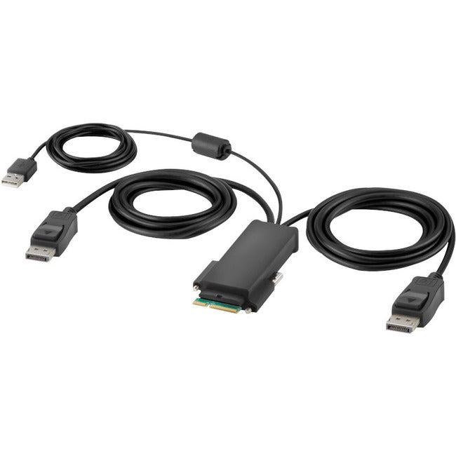 Belkin International INC F1DN2MOD-HC-P06 Belkin Modular DP Dual-Head Host Cable 6 ft.