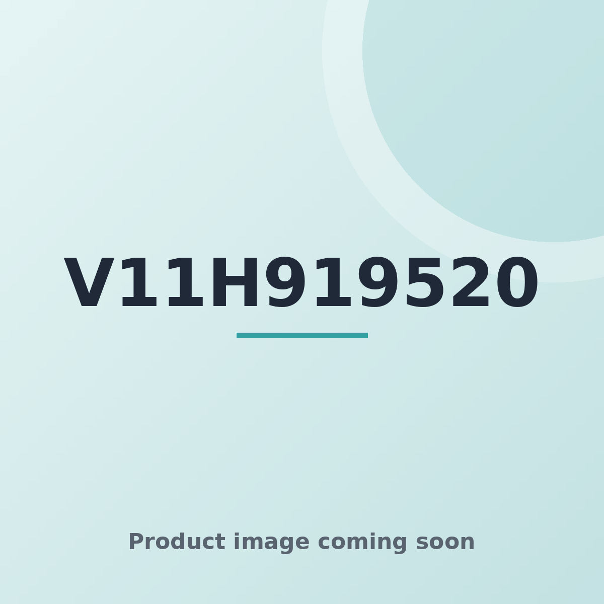 V11H919520 — product image coming soon