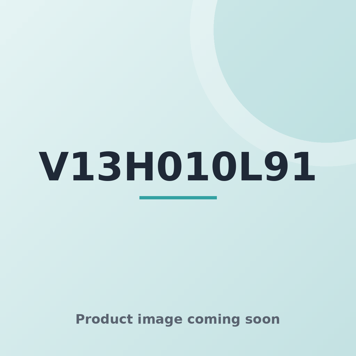 V13H010L91 — product image coming soon